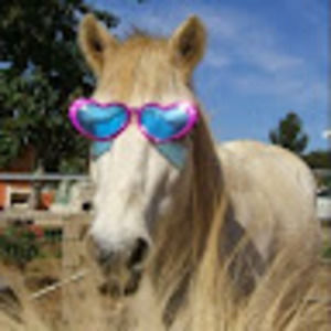 Meet your Posher, Zoe elizabeth